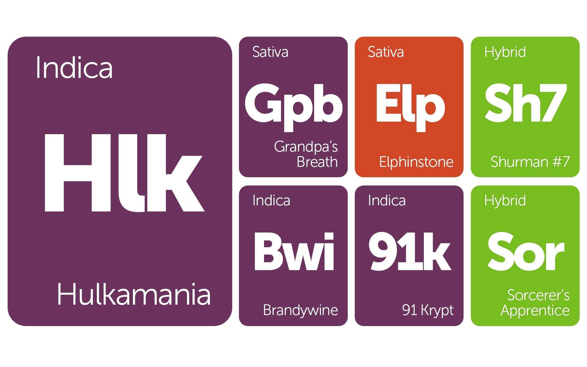 New Strains Alert Brandywine, Hulkamania, Sorcerer's Apprentice, and