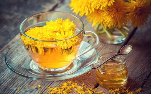 Dandelion tea