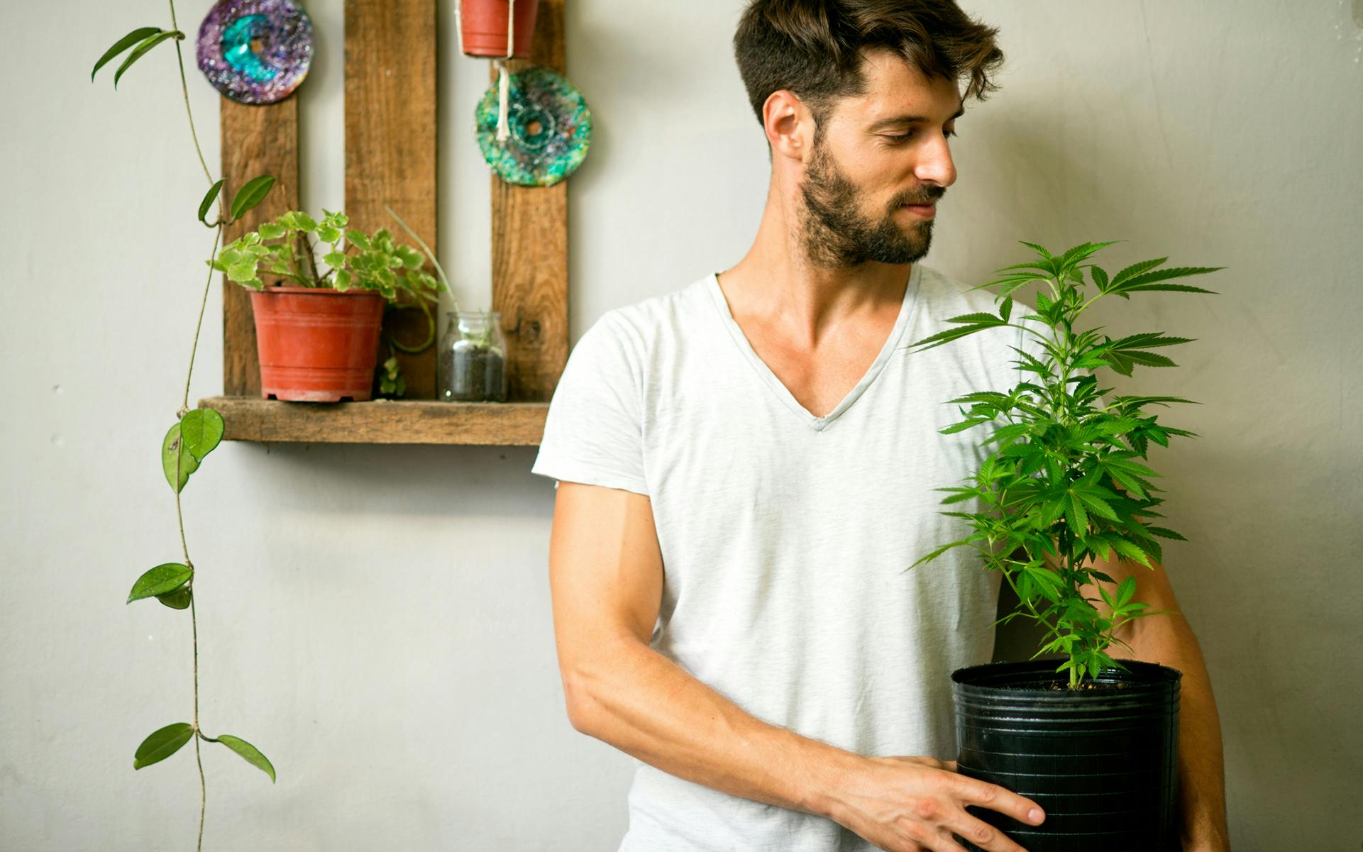 5 Reasons to Grow Your Own Cannabis image