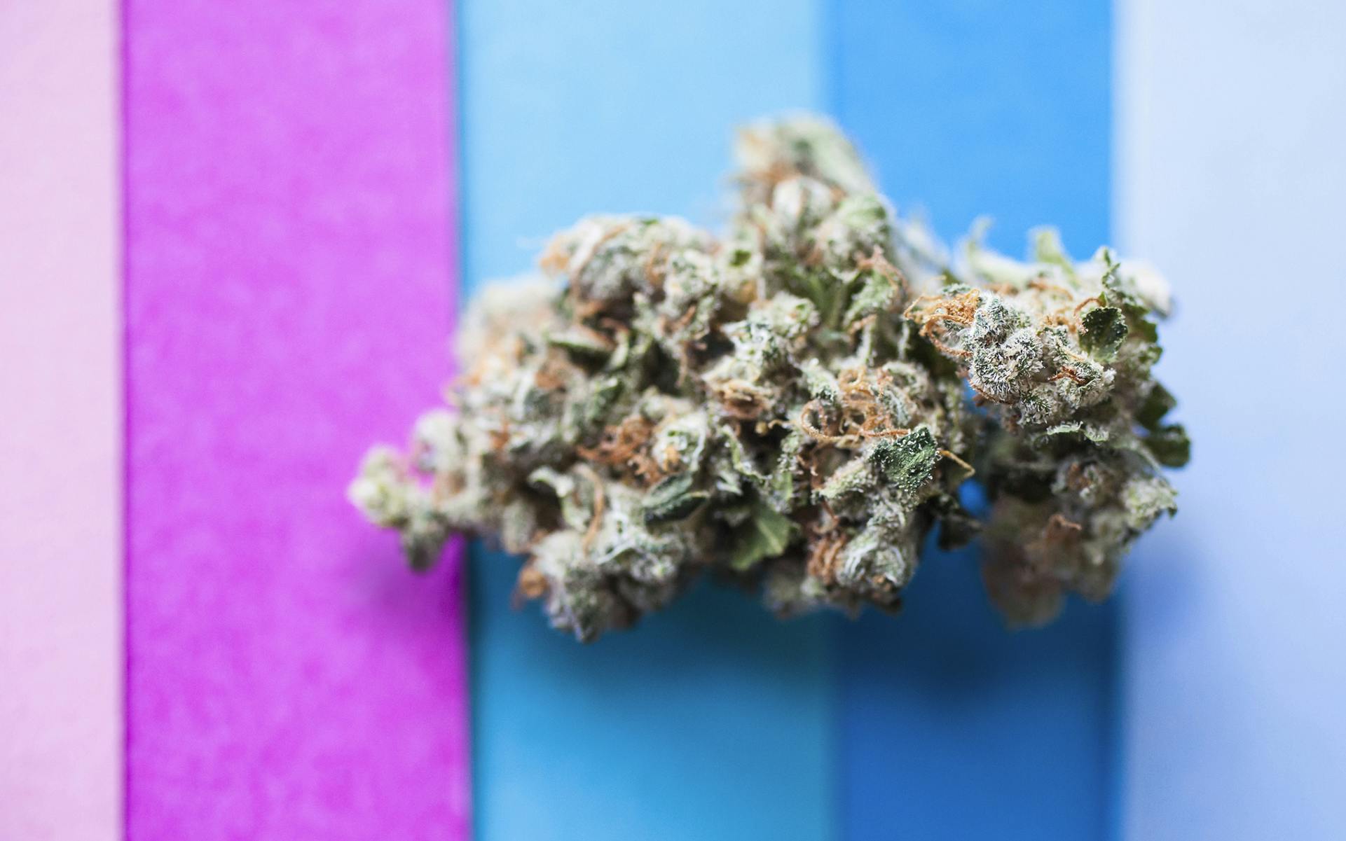 Microdosing cannabis: Benefits without the buzz image