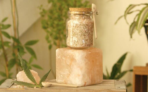 (Courtesy of Ganja Chica)