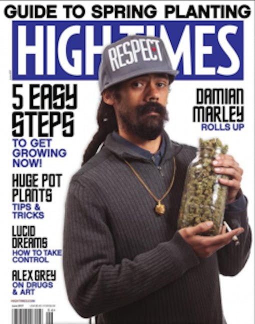 Screen Shot 2017-05-31 at 3.57.38 PM