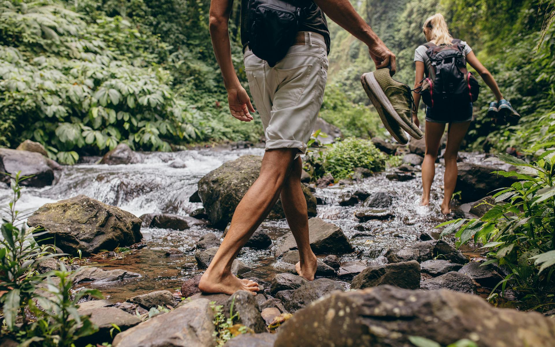 Elevation Gain The Best High Hikes in California Leafly