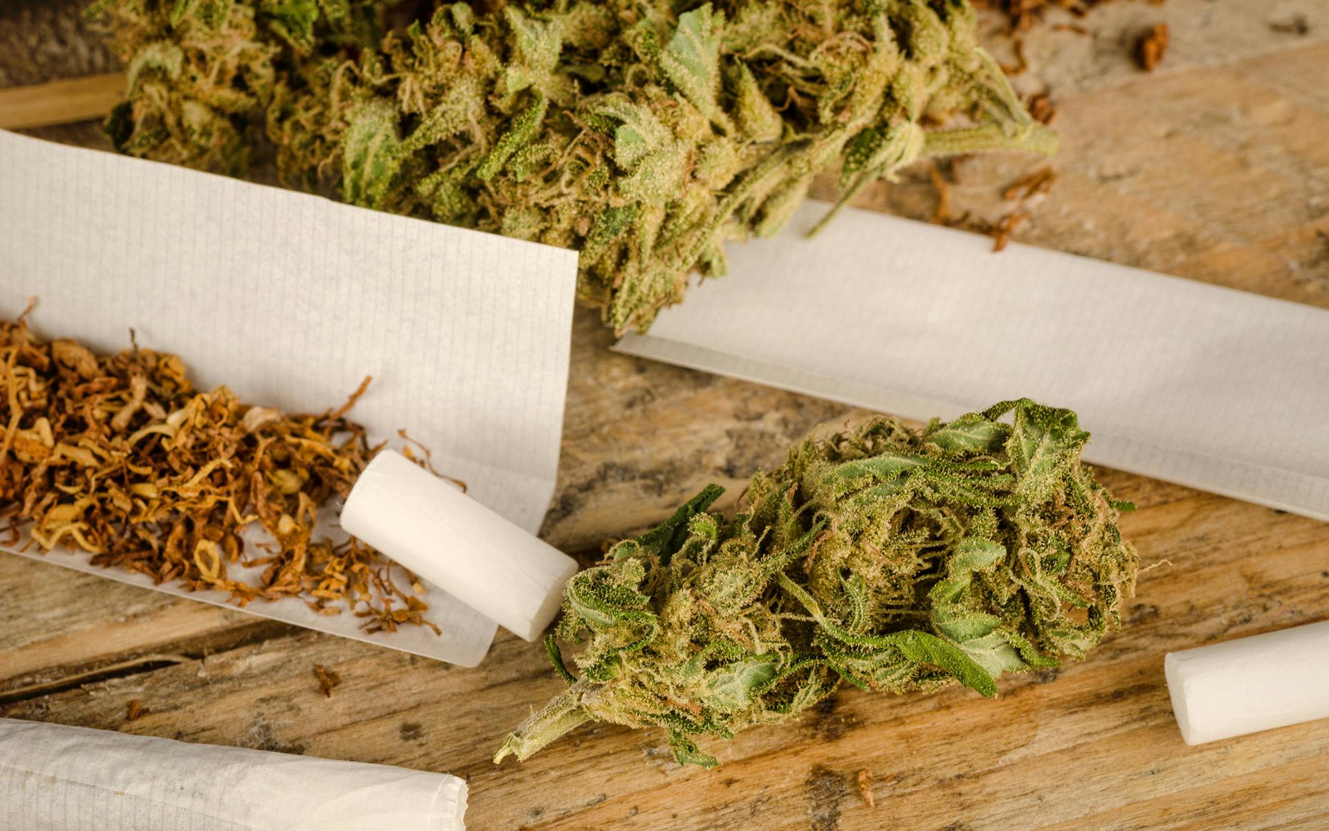 Mixing Cannabis and Tobacco Could Harmful To Your Health image