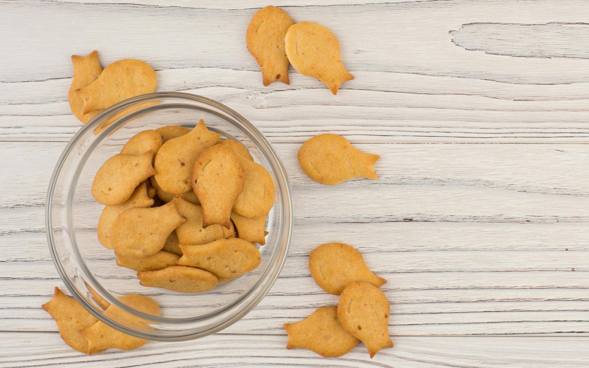 Respect the Goldfish: An Edibles Cautionary Tale image