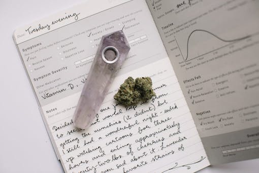 How to Keep a Cannabis Strain Health and Wellness Journal | Leafly