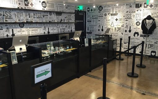 (Courtesy of Native Roots)