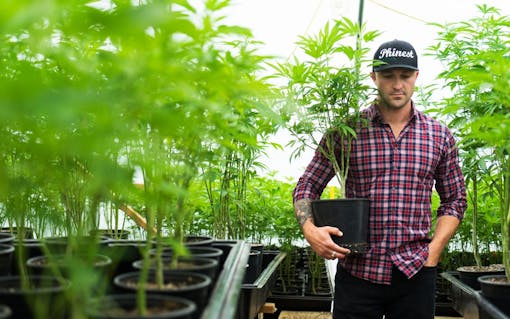 Jai Malloy poses for a photograph in his greenhouse in Santa Cruz County, Calif. on Thursday, June 8, 2017.