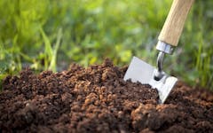 Build Perfect Organic Soil for Cannabis With These 4 Steps
