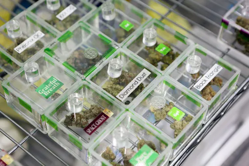 Sniff jars containing cannabis samples allow customers to smell the terpenes at Essence cannabis dispensary in Las Vegas. (Ronda Churchill for Leafly)