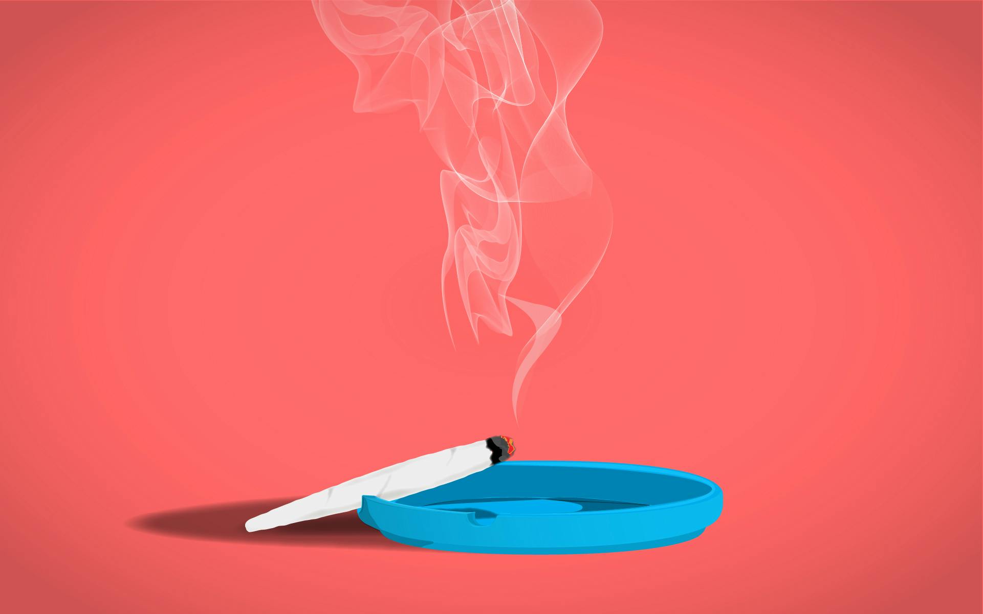 What Are You Smoking? Episodes 1-5 image