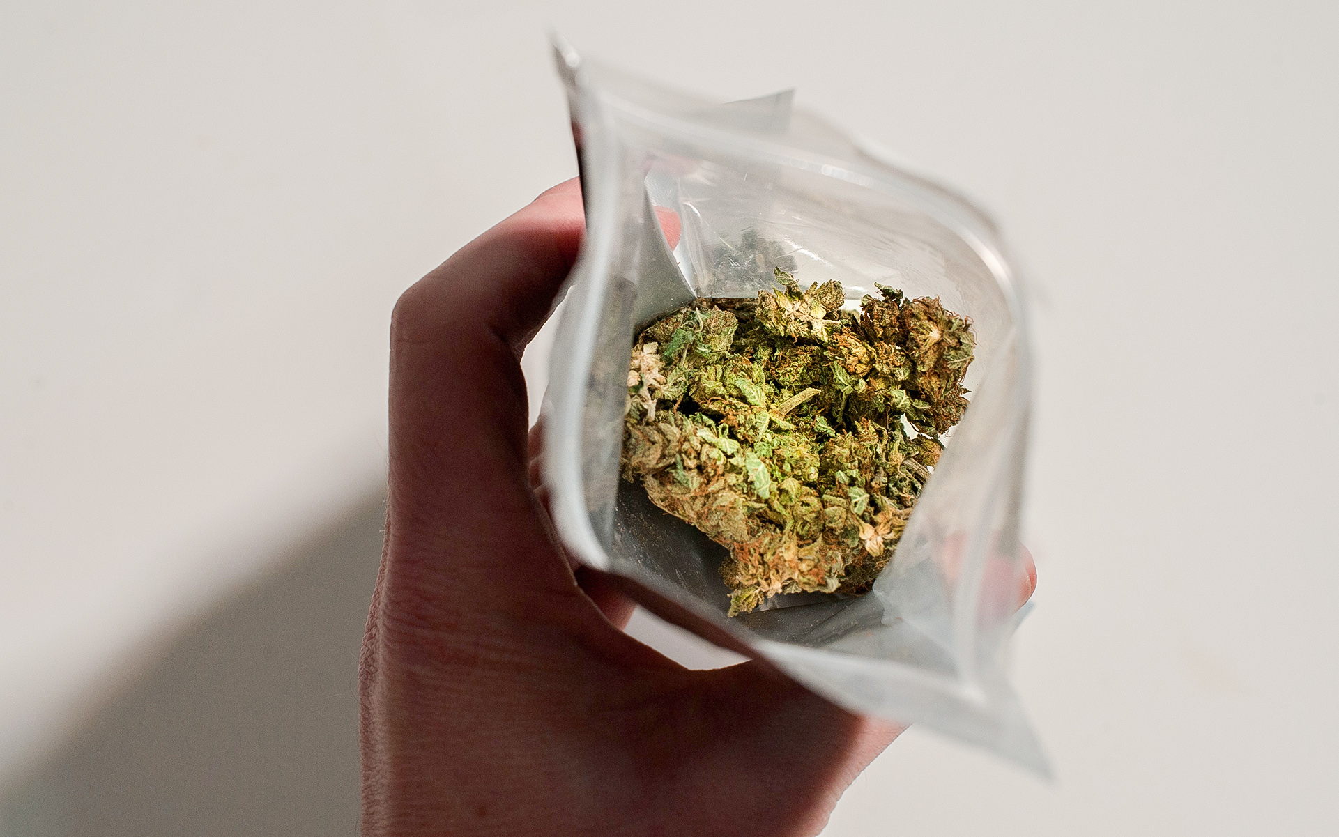 Пакет марихуаны конопляное семя для карпа