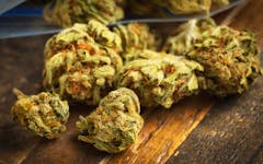 Nevada Wholesaler Steps Up to Restock Dispensaries
