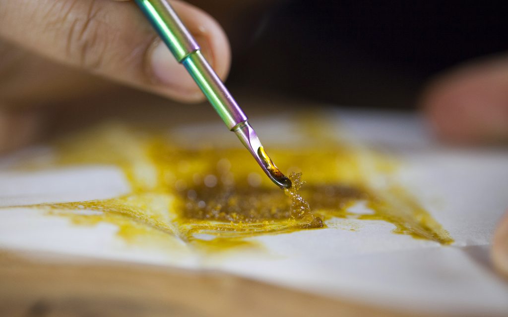 Terpenes, Cannabinoids, and Concentrate Shelf Life