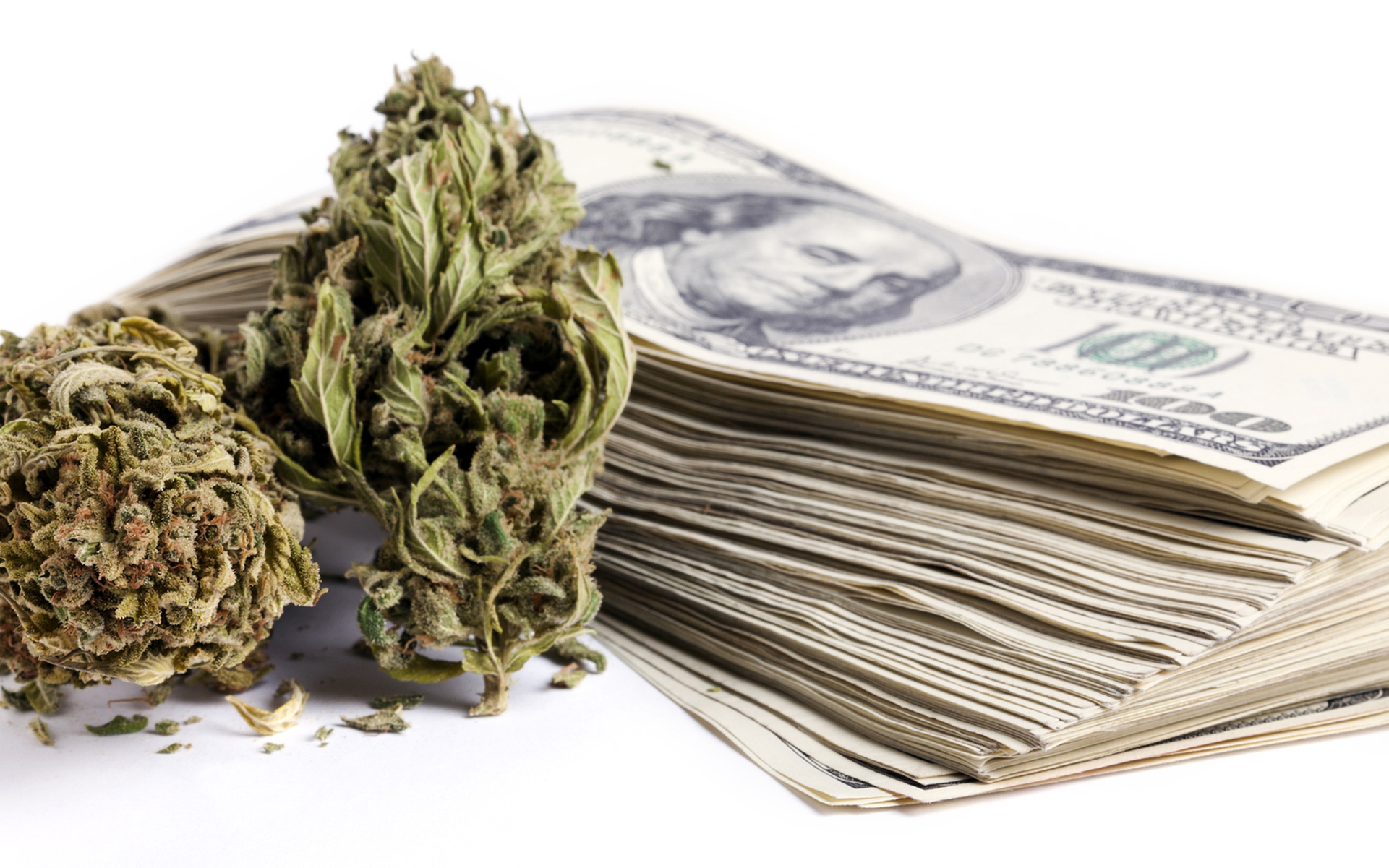 Colorado Has Brought In A Cool Half Billion In Cannabis Taxes Leafly   Colorado 50 Mil Cannabis Revenue 