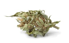 What Is 'Larf' Cannabis and What Is It Good For?