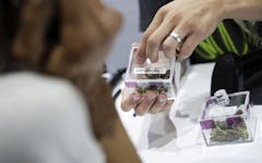 Training Your Budtenders to Better Serve Customers and Patients