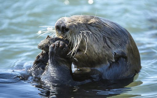 The Ultimate Summer Cannabis Road Trip Through Oregon | Leafly