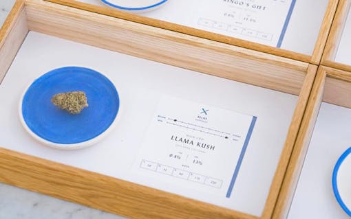 The Ultimate Summer Cannabis Road Trip Through Oregon | Leafly