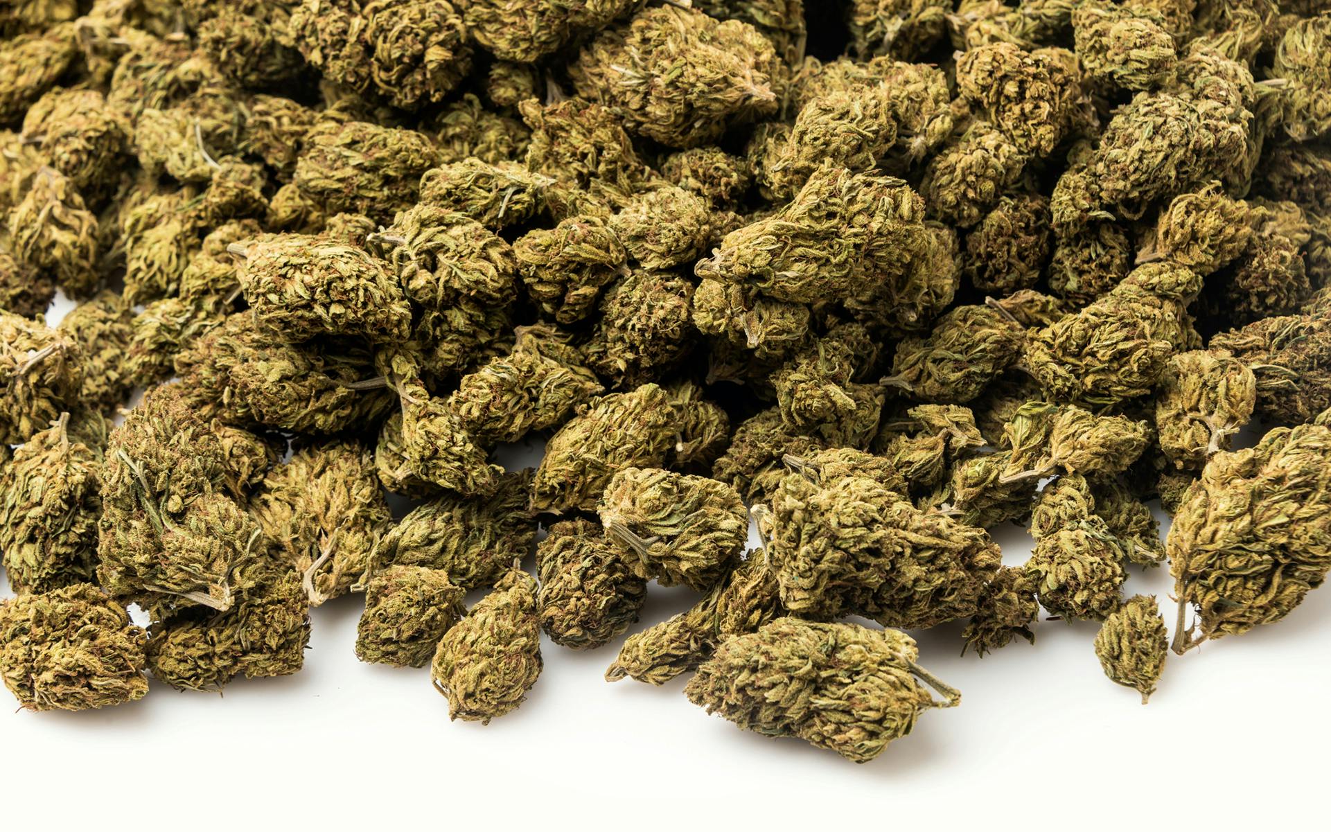 5 tips for making it through a t-break image