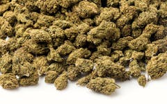 How to Prepare for a Tolerance Break