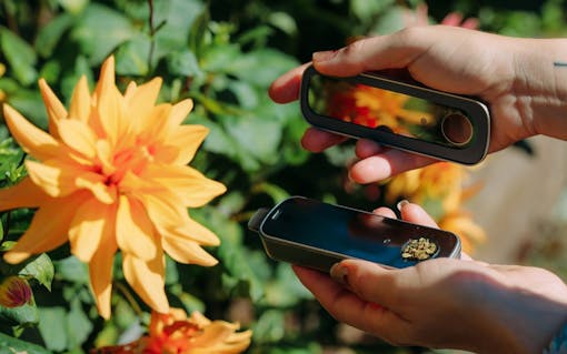 A Beginner's Guide to Mindful Cannabis Consumption | Leafly