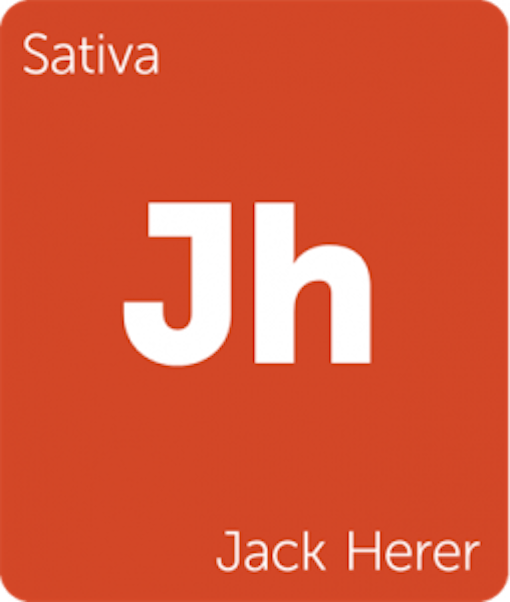 Leafly Jack Herer sativa cannabis strain