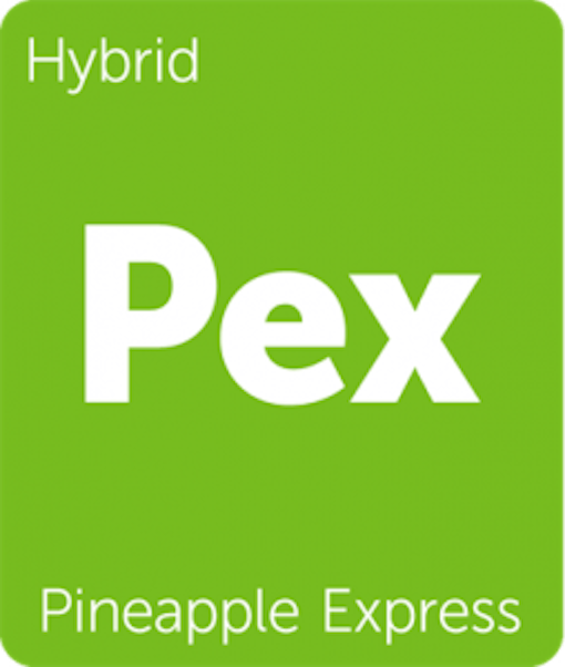 Leafly Pineapple Express hybrid cannabis strain