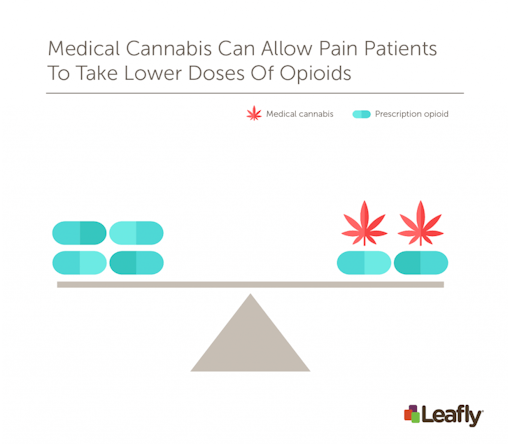 Medical cannabis can allow pain patients to take lower doses of opioids