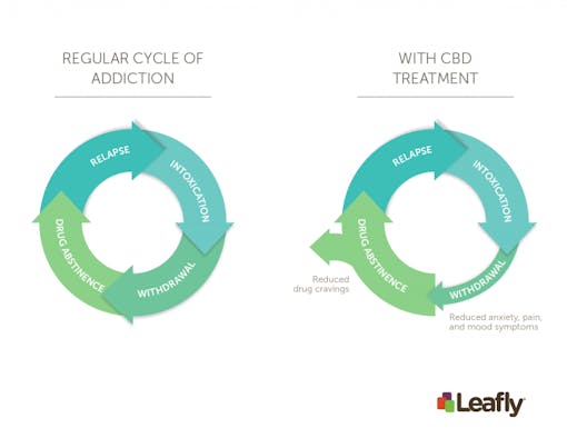 Regular cycle of addiction vs. with CBD treatment