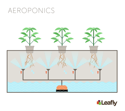 Hydroponic Growing Systems: Aeroponics