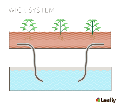 Hydroponic Growing Systems: Wick System