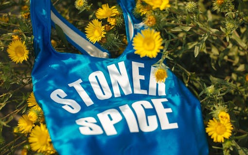 10 Ultimate Marijuana Essentials for a Summer Cannabis Beach Bag | Leafly