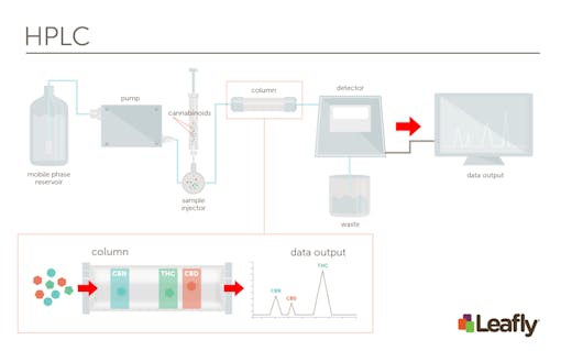 General Overview of HPLC Process