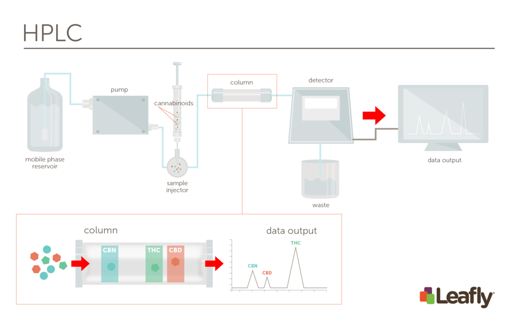Cannabis Potency How Does Lab Testing for THC and CBD Work? Leafly