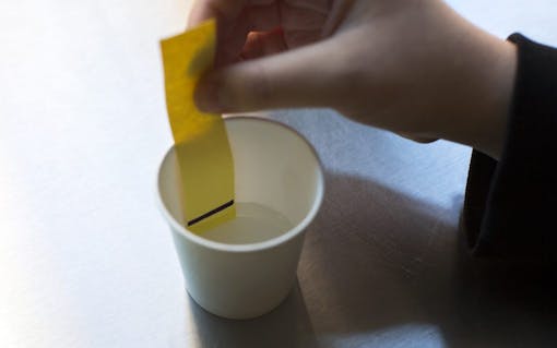 DIY chromatography test in progress