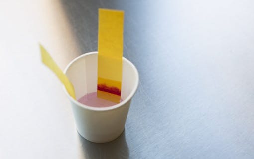 DIY chromatography experiment results