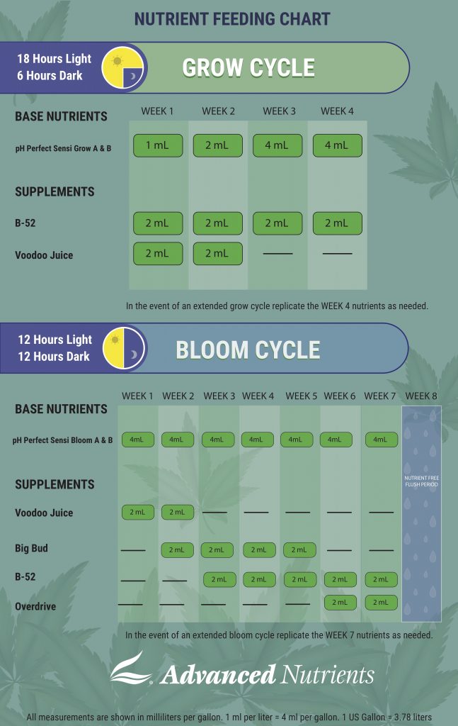 Tips for growing Island Sweet Skunk cannabis | Leafly