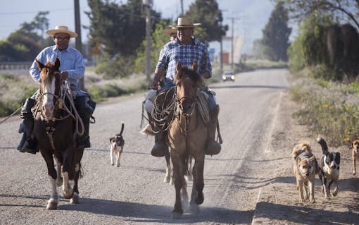 8 Exotic Marijuana Dispensaries Around the World | Leafly