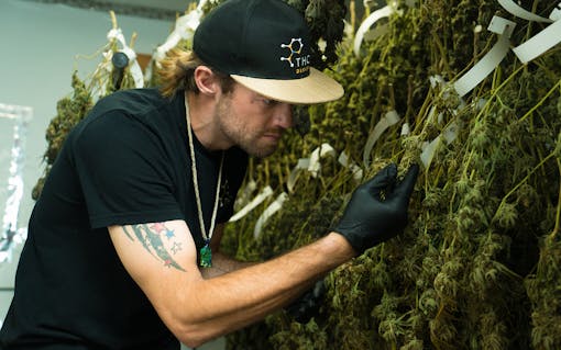 “Ninety percent of all military knowledge is on-the-job training,” says Navy vet Zac Williams.