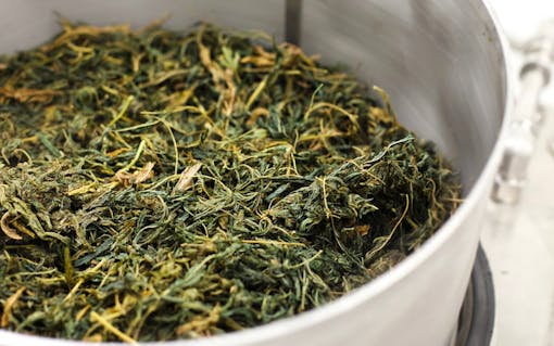 Ethanol extraction: marijuana to be extracted with ethanol