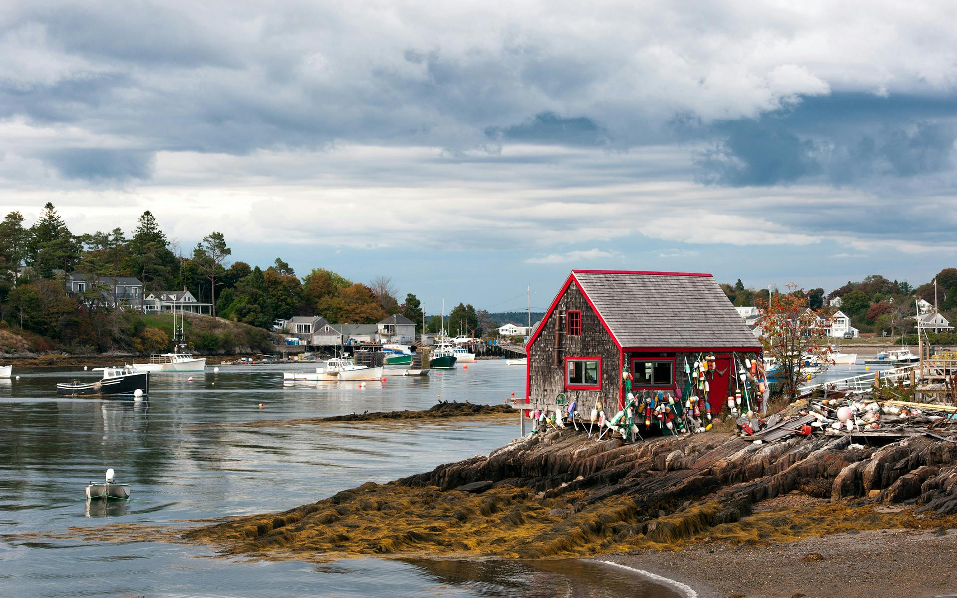 Moving to Maine for Legal Cannabis image