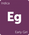 Leafly Early Girl indica cannabis strain