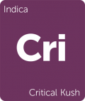 Leafly Critical Kush indica cannabis strain