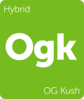 Leafly OG Kush hybrid cannabis strain
