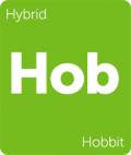 Leafly Hobbit hybrid cannabis strain