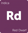 Leafly Red Dwarf indica cannabis strain