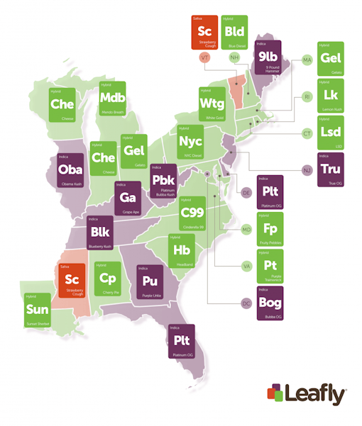 The Fastest-Trending Marijuana Strains in the Eastern United States | Leafly