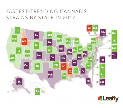 The Hottest Marijuana Strains in Every State in the USA | Leafly