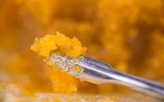 live resin